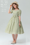 Seasons Flower Onepiece Dress in Light Green (2 Sizes) - Lolita Collective